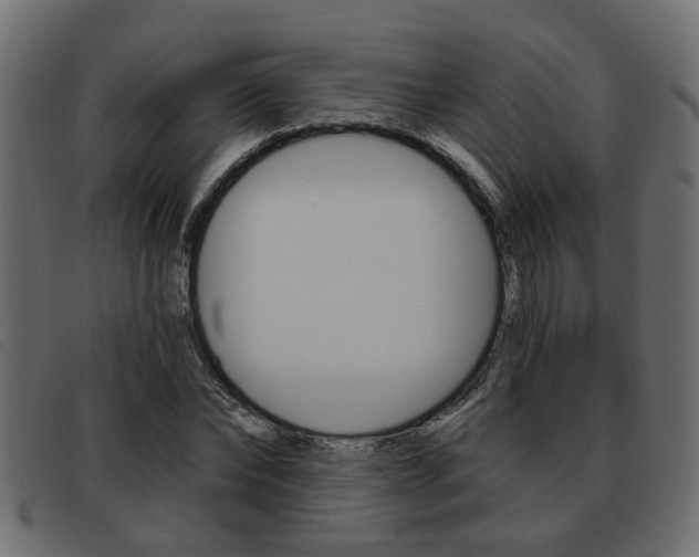 X0000093620878200710151038