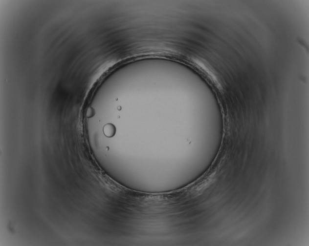 X0000093620883200710151038