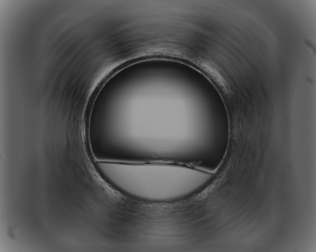 X0000093620888200710151038
