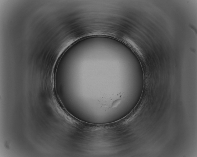 X0000093620892200710151038