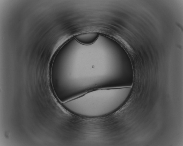 X0000093620894200710151038