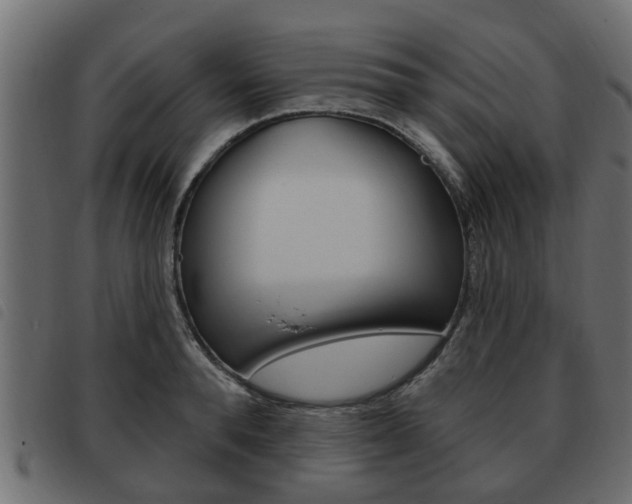 X0000093620896200710151038