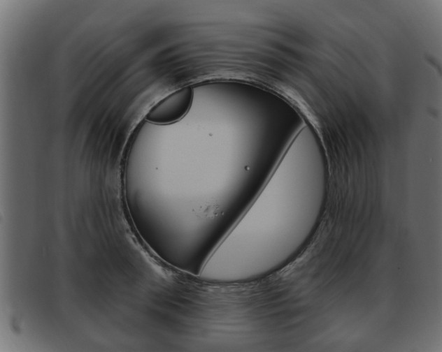 X0000093620898200710151038