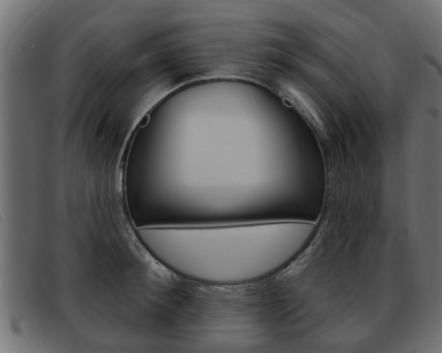 X0000093620900200710151038