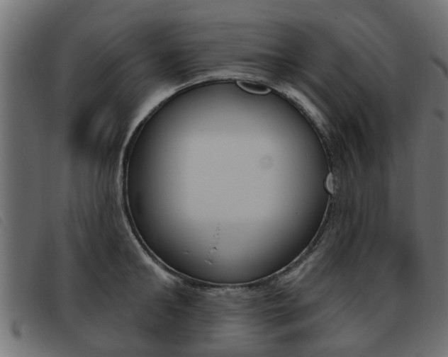 X0000093620902200710151038