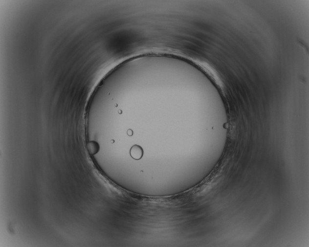 X0000093620903200710151038