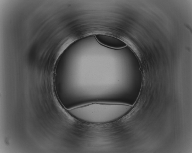 X0000093620906200710151038