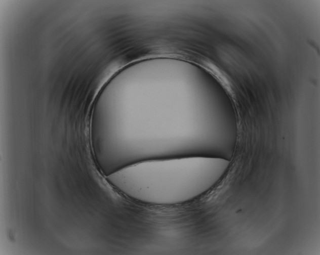X0000093620907200710151038