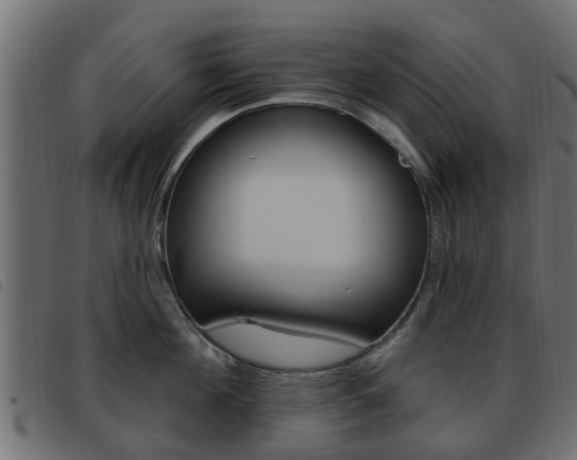 X0000093620908200710151038