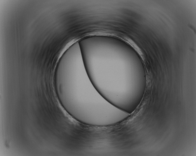 X0000093620909200710151038