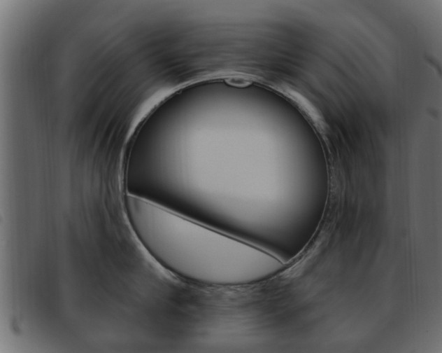 X0000093620910200710151038