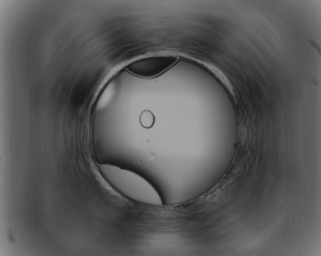 X0000093620911200710151038