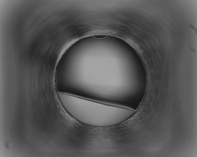 X0000093620912200710151038