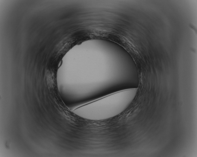 X0000093620915200710151037