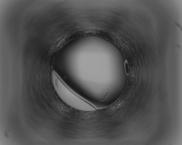 X0000093620916200710151037