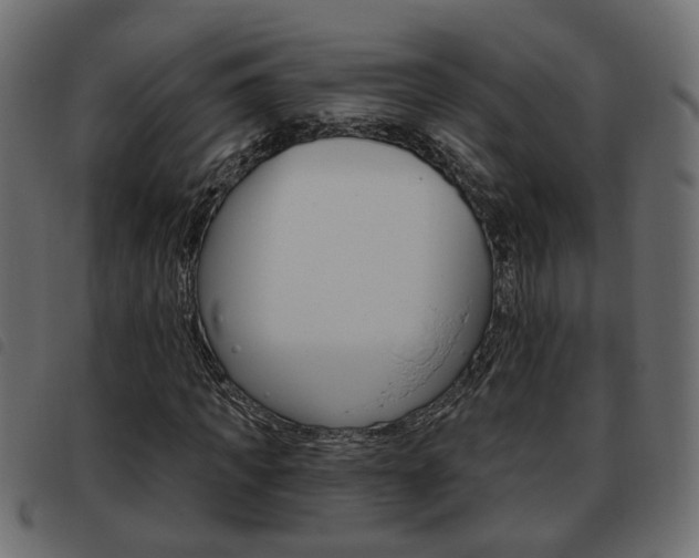 X0000093620917200710151037