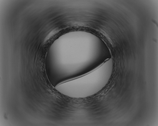 X0000093620919200710151037