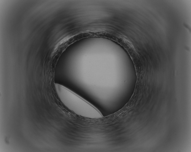 X0000093620920200710151037
