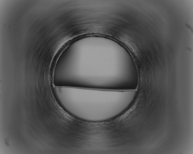 X0000093620924200710151037
