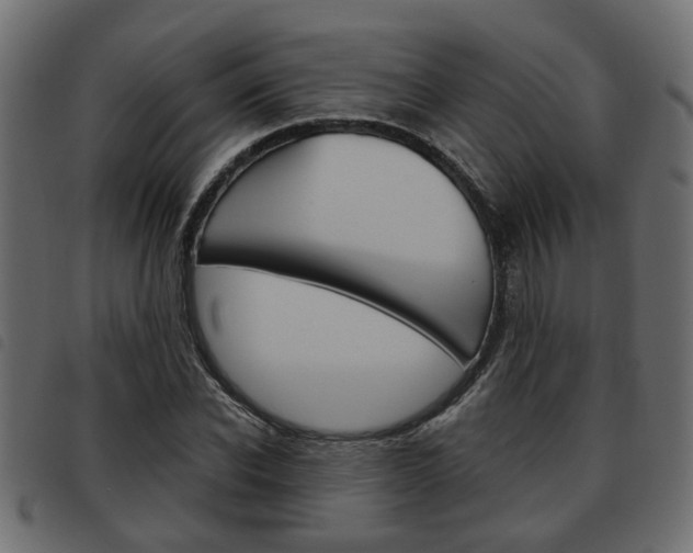 X0000093620926200710151037