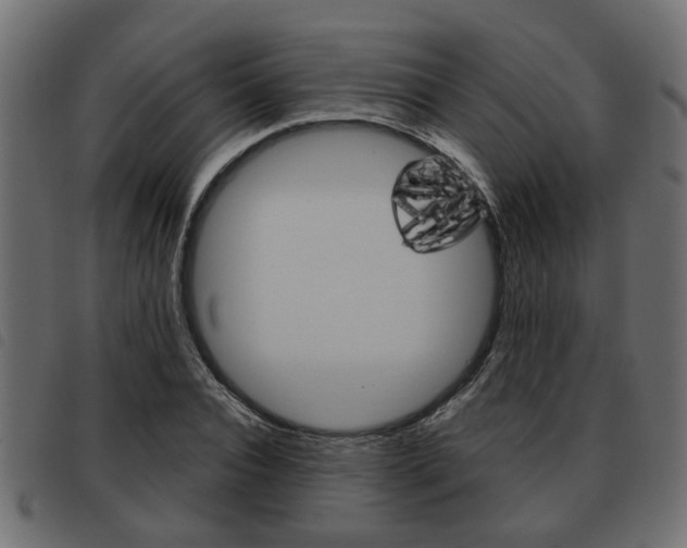 X0000093620928200710151038