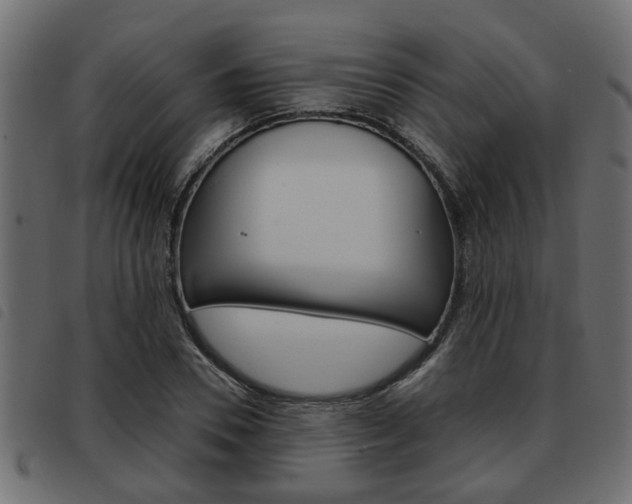 X0000093620930200710151038