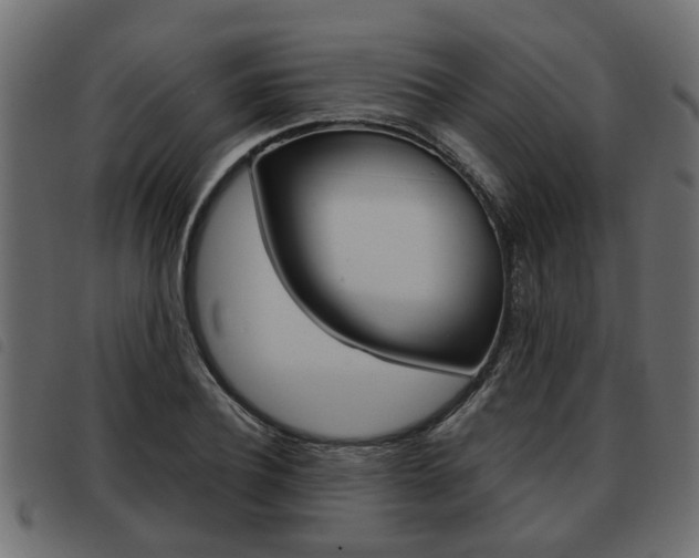 X0000093620932200710151038