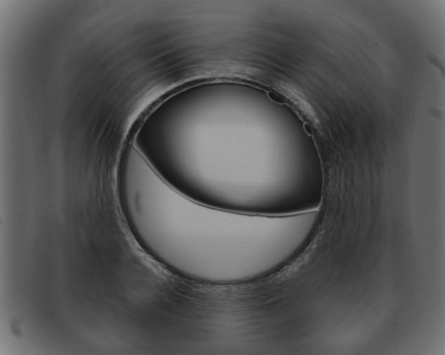 X0000093620936200710151038
