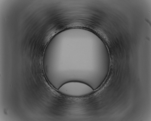 X0000093620937200710151038