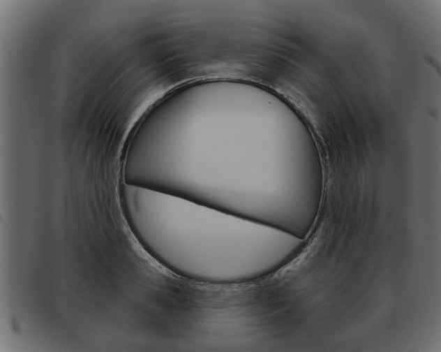 X0000093620941200710151038