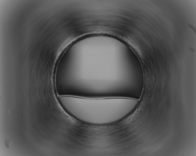 X0000093620943200710151038