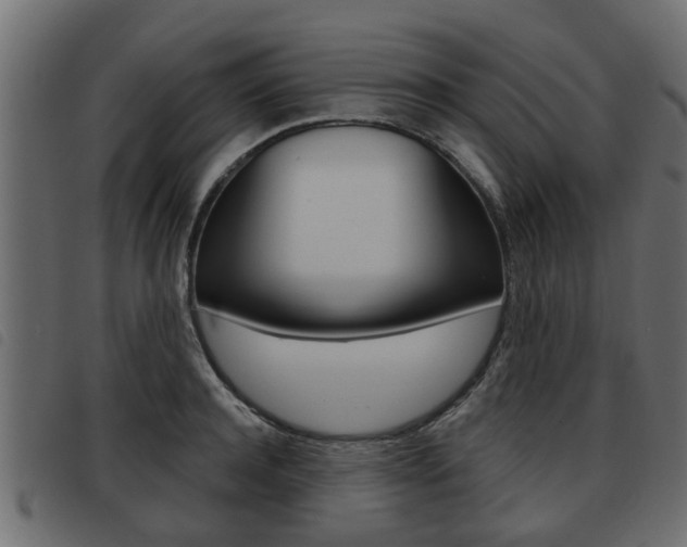 X0000093620944200710151038