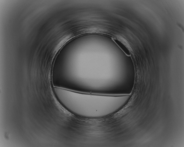 X0000093620946200710151038