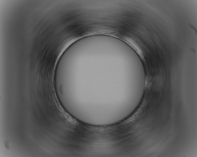 X0000093620948200710151038