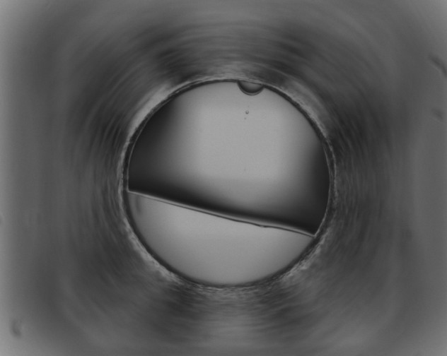 X0000093620949200710151038
