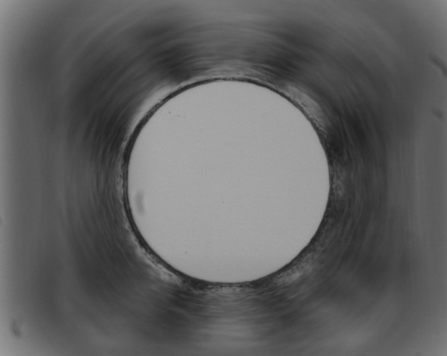 X0000093620950200710151038