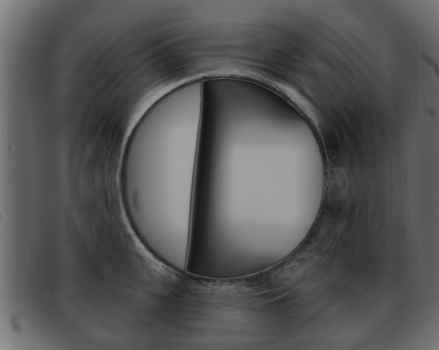 X0000093620951200710151038