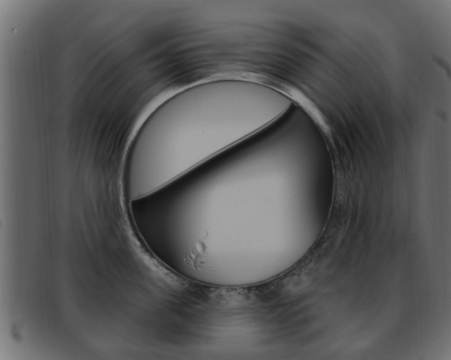 X0000093620955200710151038