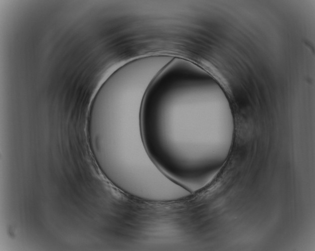 X0000093620956200710151038