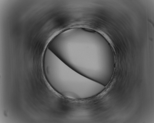 X0000093620957200710151038
