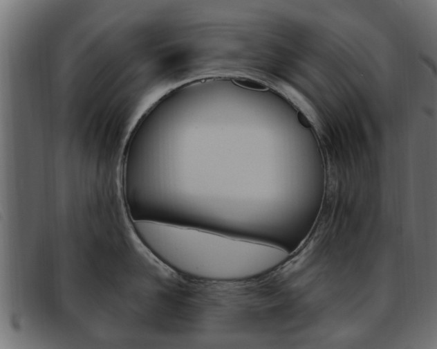 X0000093620958200710151038
