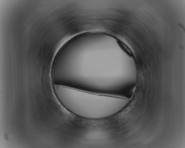 X0000093620959200710151038