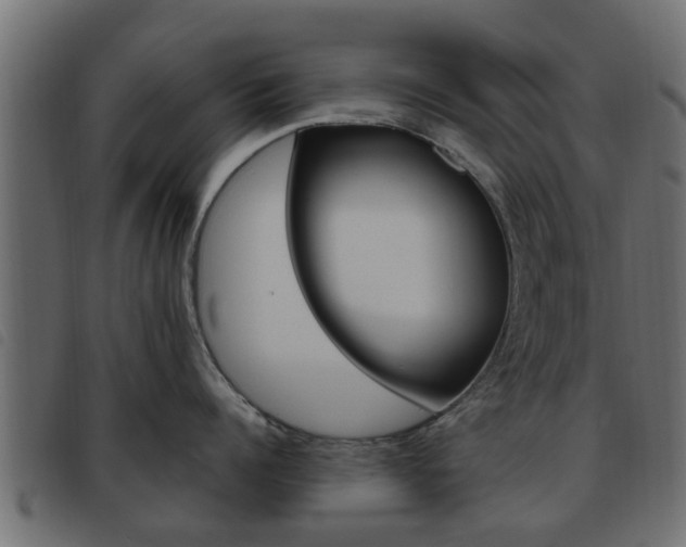 X0000093620960200710151038