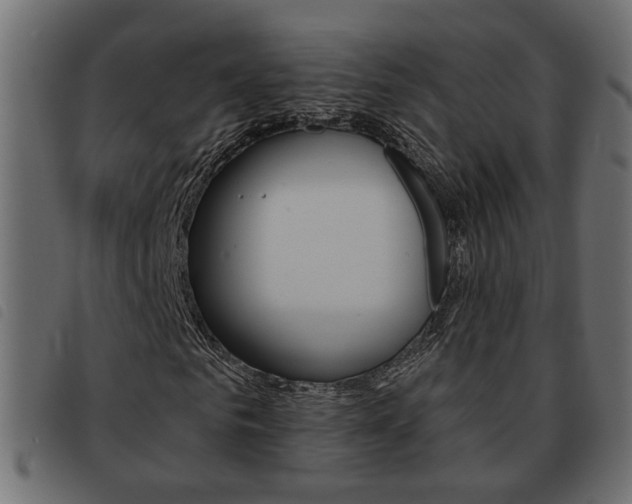 X0000093620961200710151037