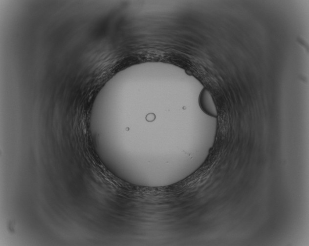 X0000093620962200710151037