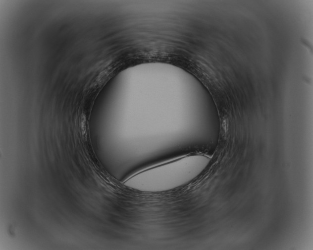 X0000093620963200710151037