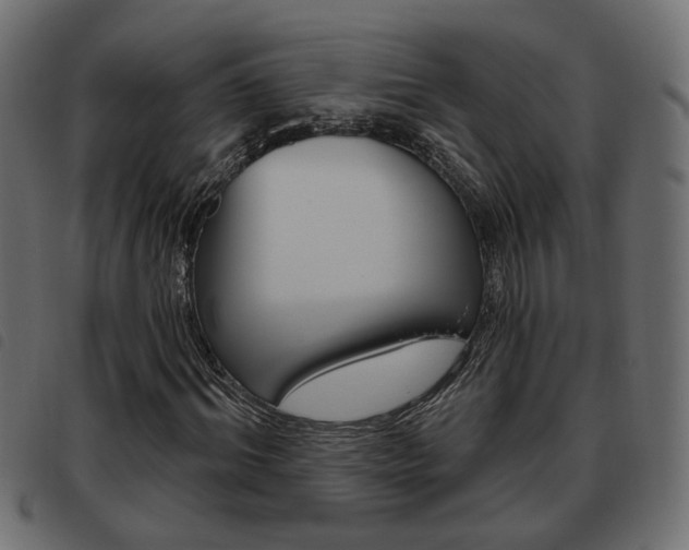 X0000093620964200710151037