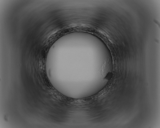 X0000093620966200710151037