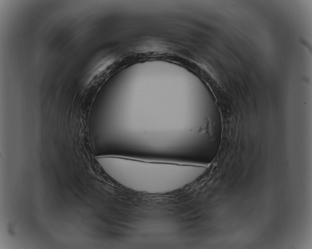 X0000093620967200710151037