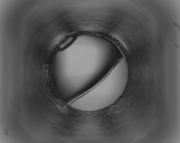 X0000093620968200710151037